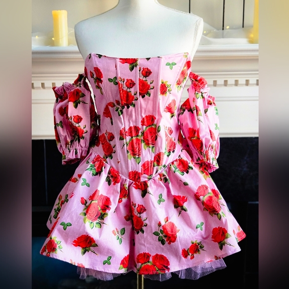 Sugar Thrillz Dresses & Skirts - NWT Holding Court Corset Dress - Pink SOLD OUT